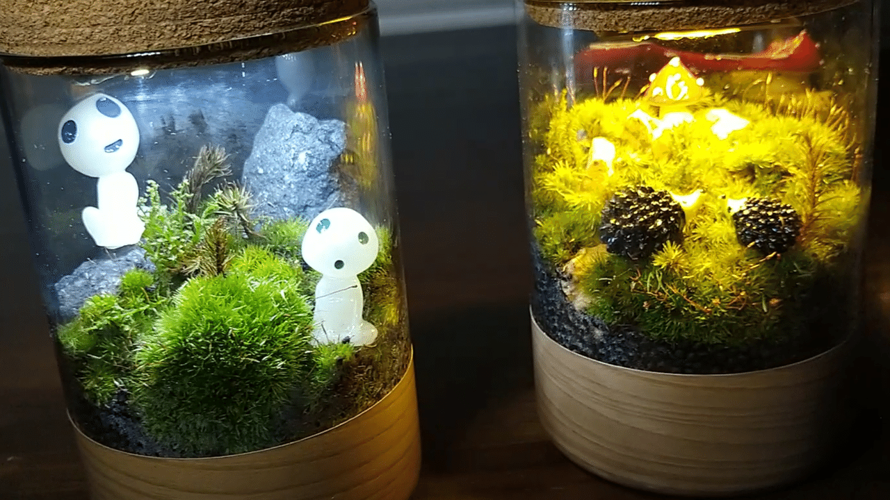 超簡単 100均アイテムで作成するテラリウムライトの作成 フルライフdiy Note 超簡単 100均アイテムで作成するテラリウムライトの作成 フルライフdiy Note
