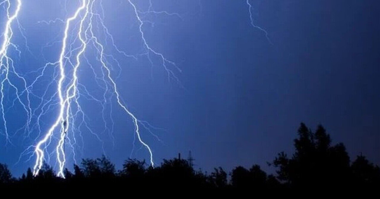 アガベ 万雷 小島王妃吉祥天 本物 パリー, image size:1280x670