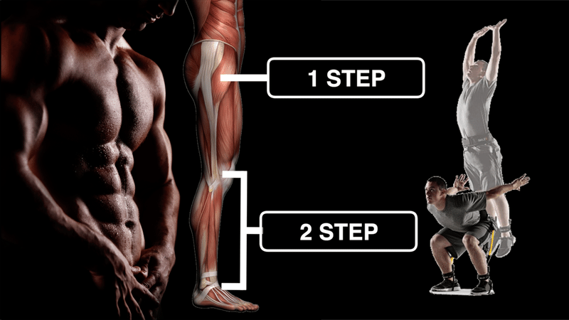 1流バスケット選手のデーターから分かる ジャンプ力を高める ２ Step ガクトレ Note