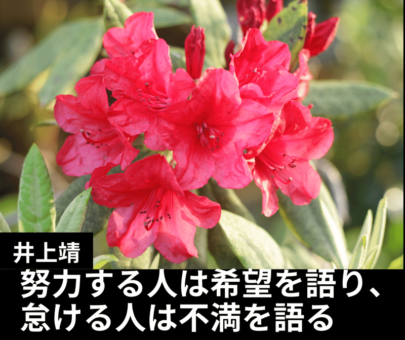 努力する人は希望を語り 怠ける人は不満を語る 佐藤 理 Note