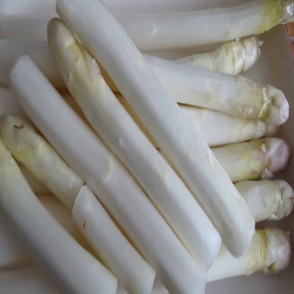 ドイツ人の偏愛野菜 白アスパラガス その１ Pflanzenjager Note