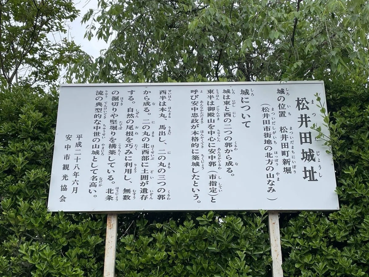 画像26