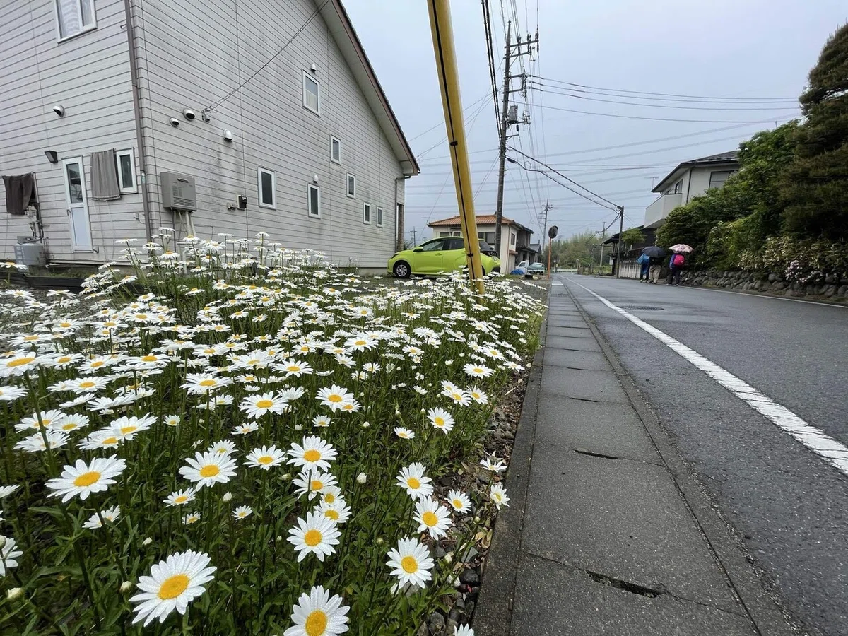 画像32
