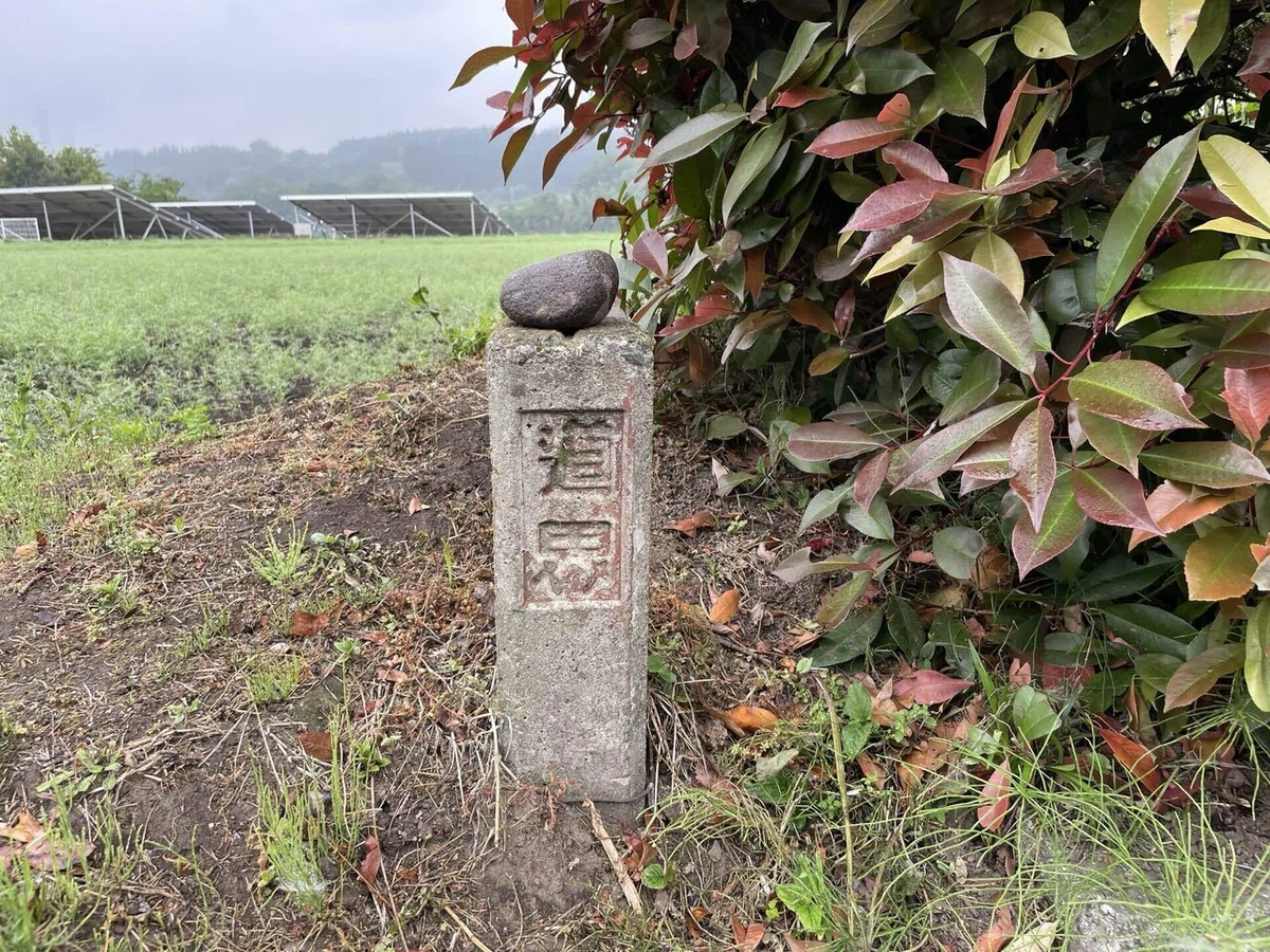 画像37