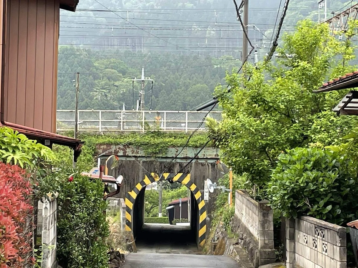 画像80