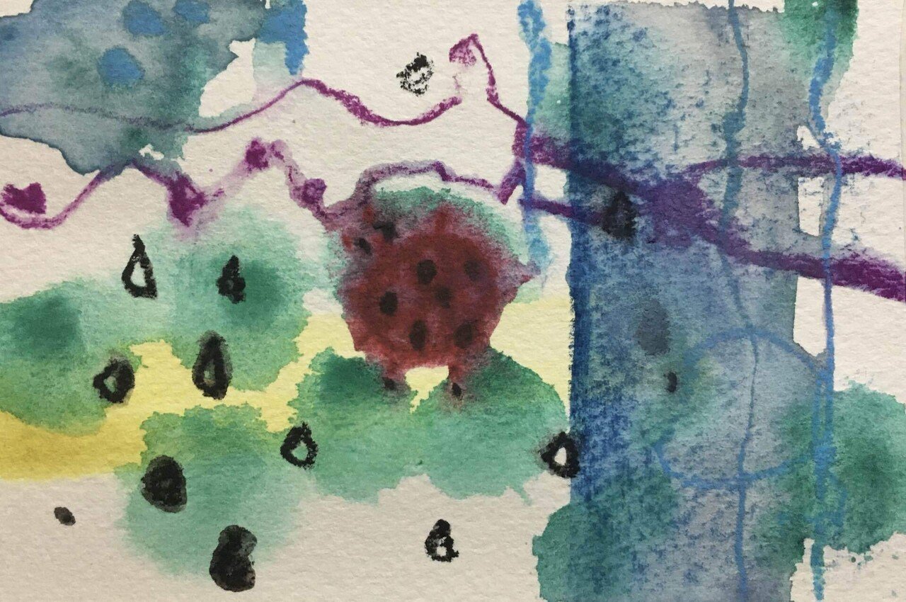 明日は雨の中とてんとう虫 みずたま Note 明日は雨の中とてんとう虫 みずたま Note
