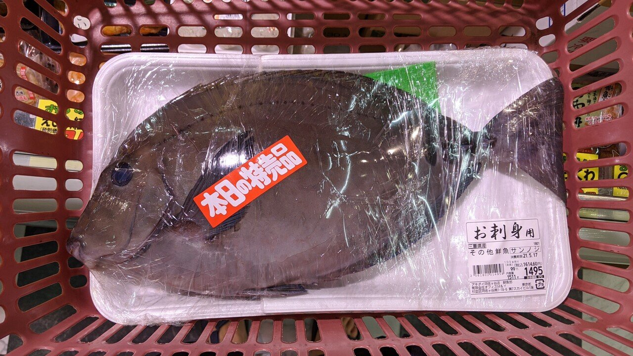 磯臭い魚 ニザダイ を美味しく食べるにはどうすれば良いか たくろーどん Note 磯臭い魚 ニザダイ を美味しく食べるにはどうすれば良いか たくろーどん Note