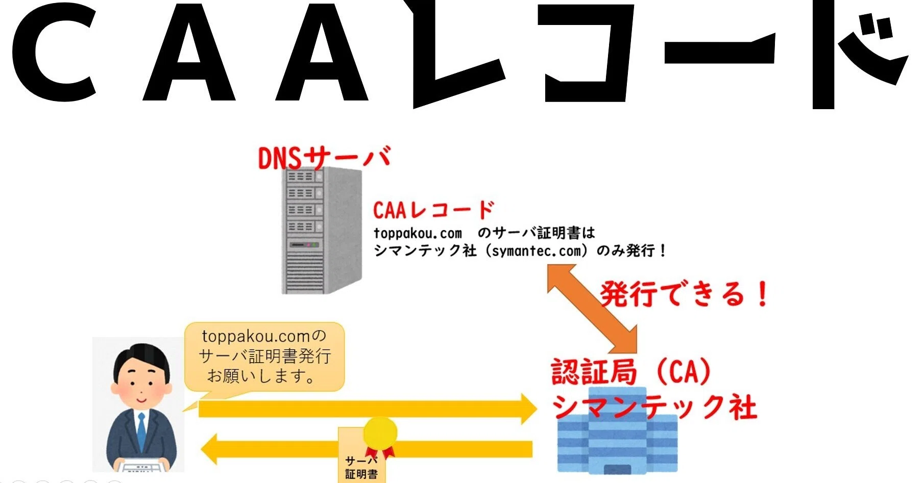 CAAレコード（サーバ証明書発行とDNSサーバ）｜高校情報科・情報処理 