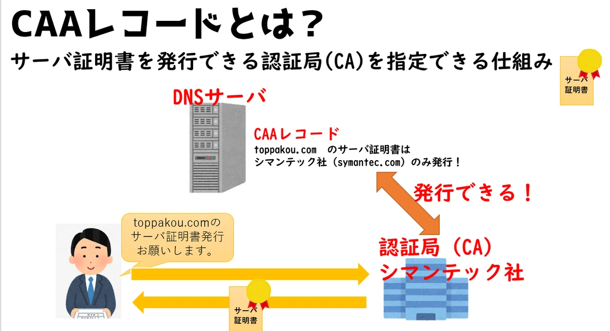 CAAレコード（サーバ証明書発行とDNSサーバ）｜高校情報科・情報処理 