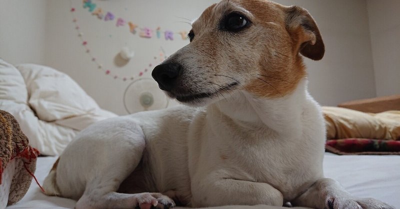 椛島健一 の新着タグ記事一覧 Note つくる つながる とどける