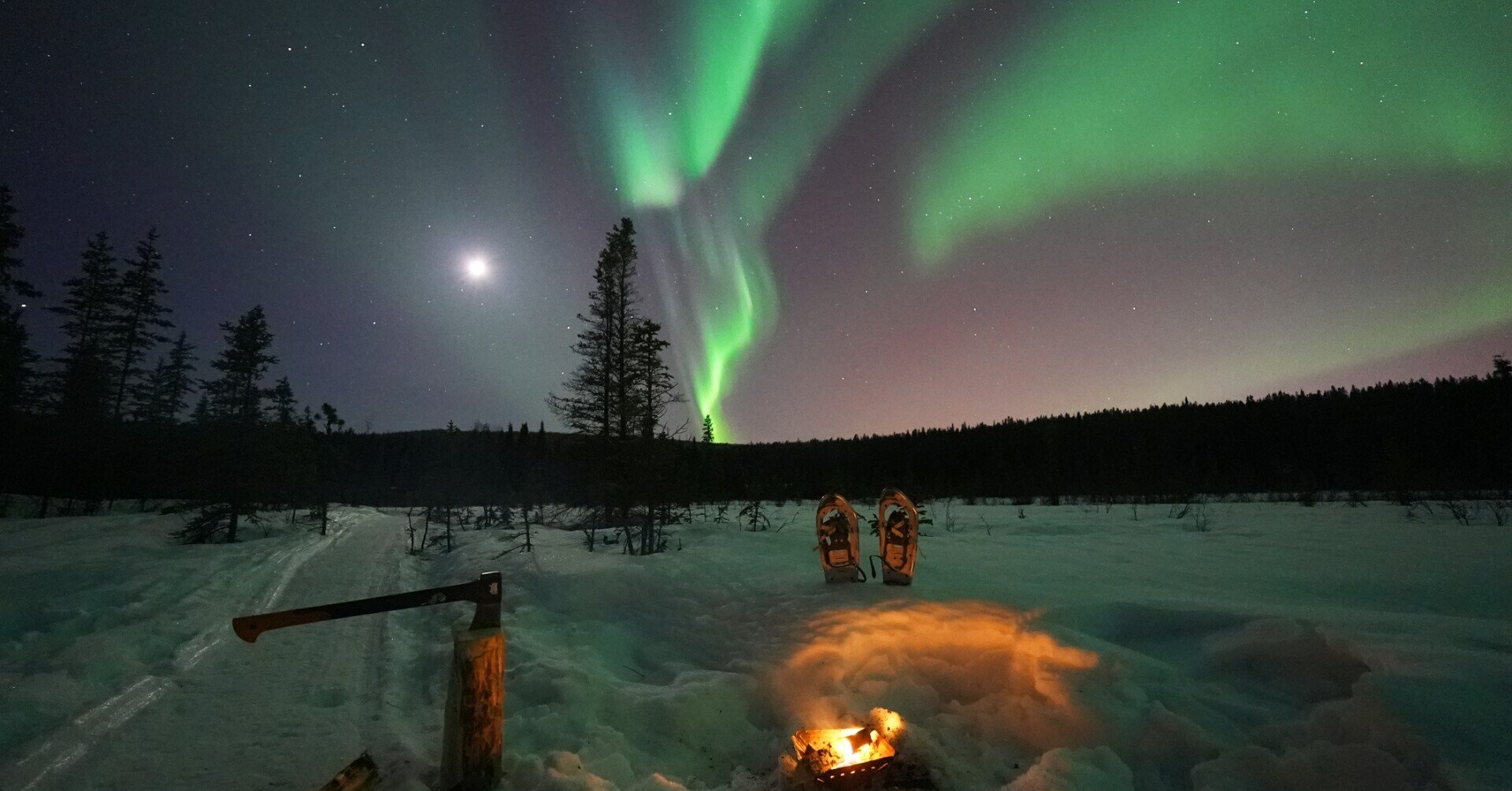 春のオーロラに想うこと｜Tomohiro Uemura (tNt Nature Connections)