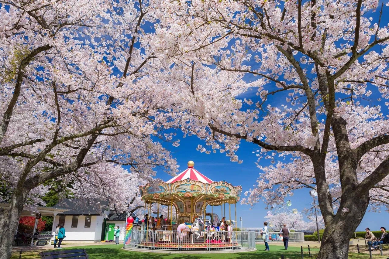 天橋立を両端から贅沢に楽しむ！傘松公園＆天橋立ビューランド｜宮津市広報