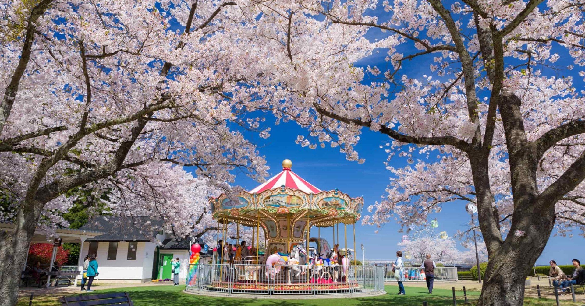 7212bd334520985f9cb36707bdfa4f