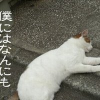 牛乳の代替 オーツミルクや豆乳などの植物性ミルクの種類と選び方 高丘真弓 Note 牛乳の代替 オーツミルクや豆乳などの植物性ミルクの種類と選び方 高丘真弓 Note