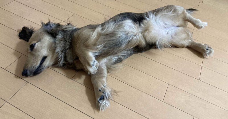 結婚式の準備が進まない 51歳のおじさんのマリッジブルーの話 Jiro ウエディングプランナー Note