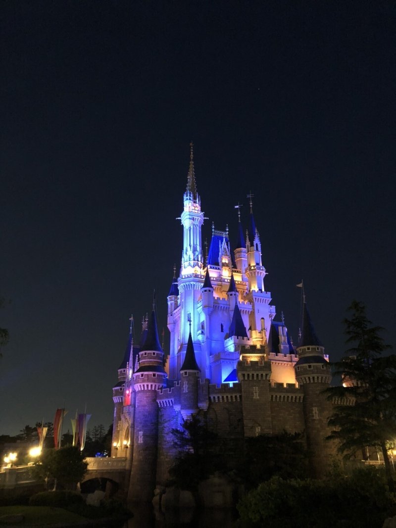 旅 夢の国 5歳の子供と行くディズニーランドの楽しみ方 Vision Note Note