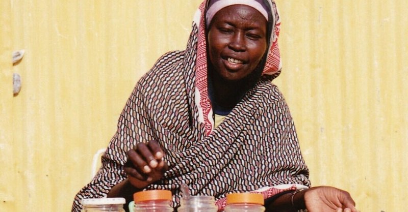 72 砂漠の青空茶屋 スーダン ワディハルファ Masa Kamejikan Note