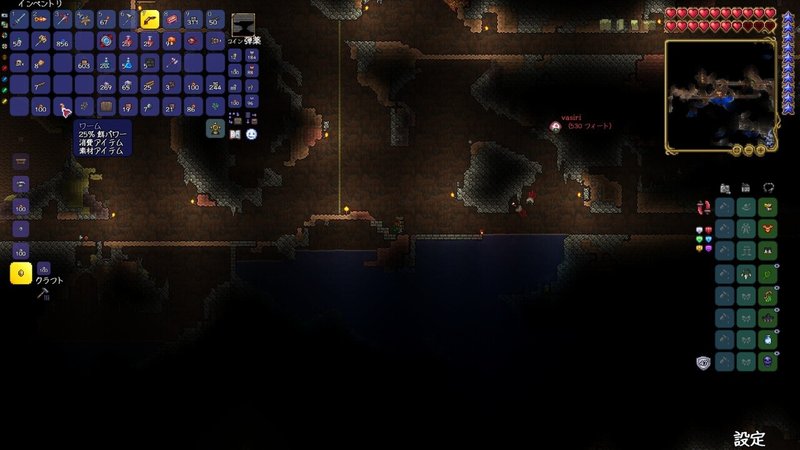 穴を掘れ 瀬場拓郎とヴァシリのテラリア洞窟探検記 10 瀬場拓郎 Note