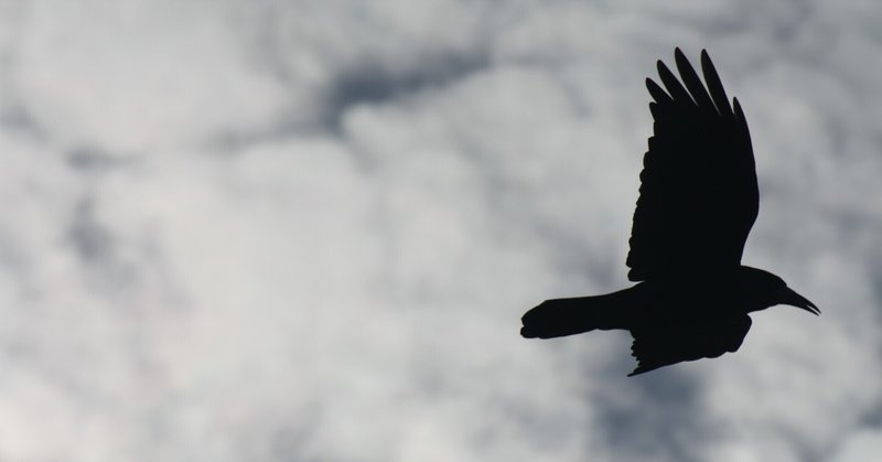 [論文メモ] 鳥類のはばたきと神経回路