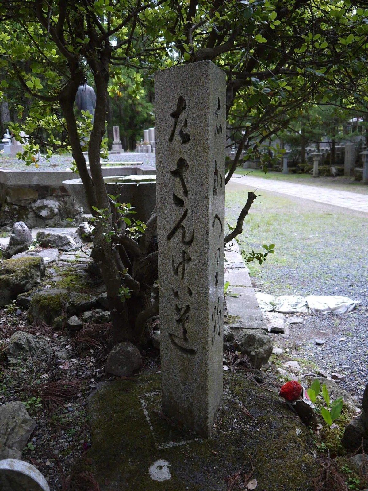 画像6