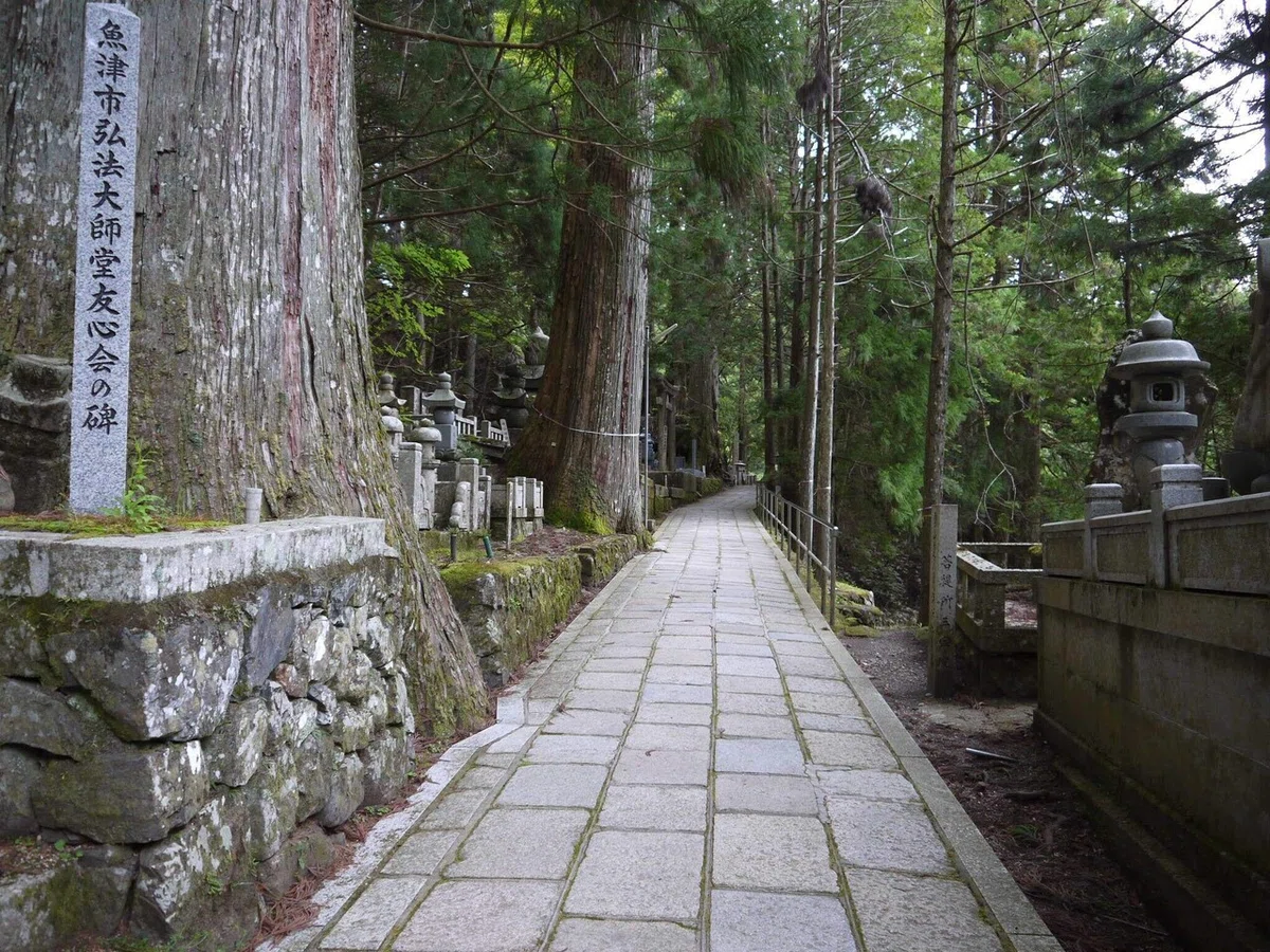 画像9