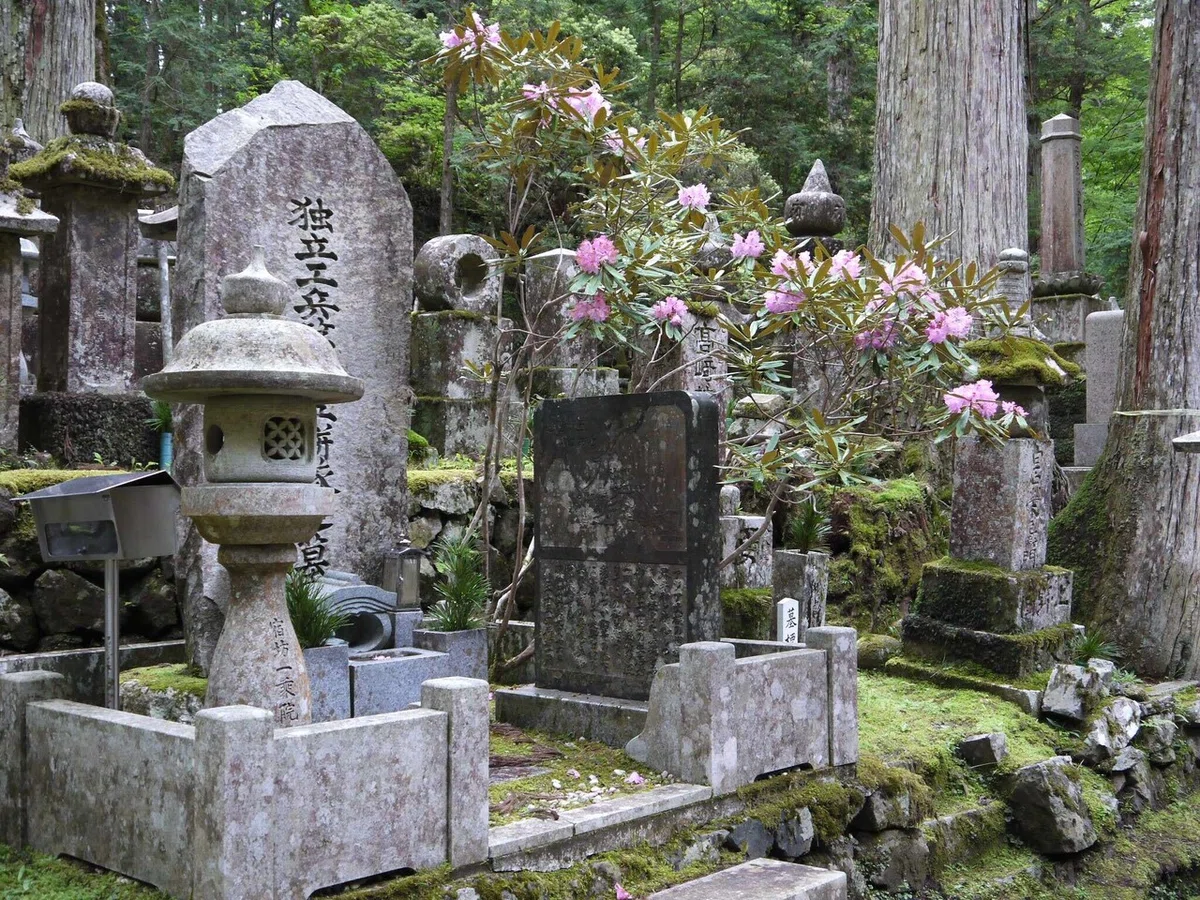 画像16