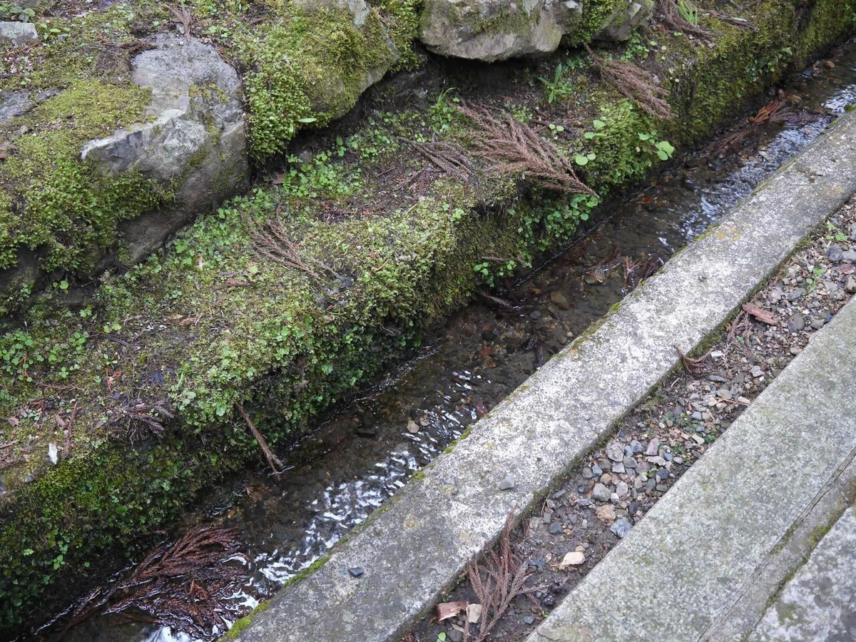 画像18