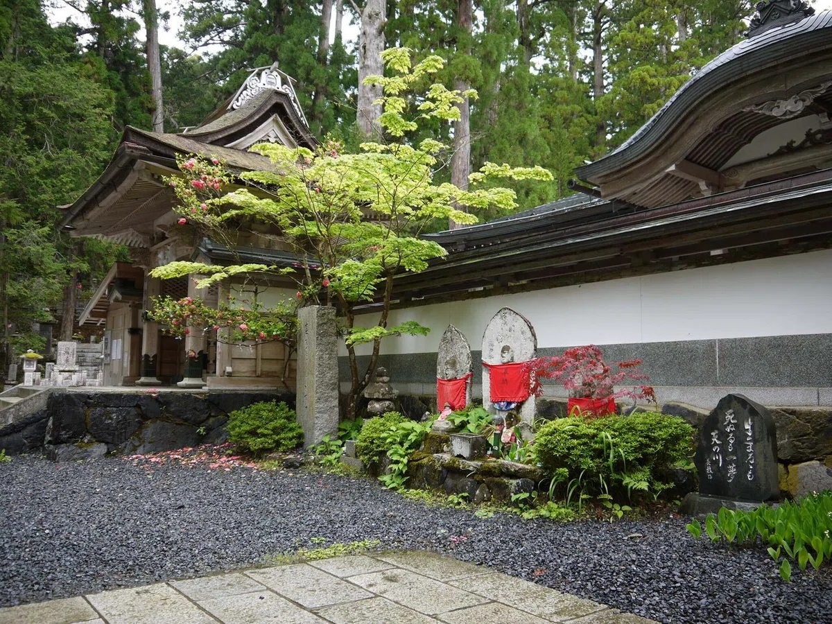 画像33