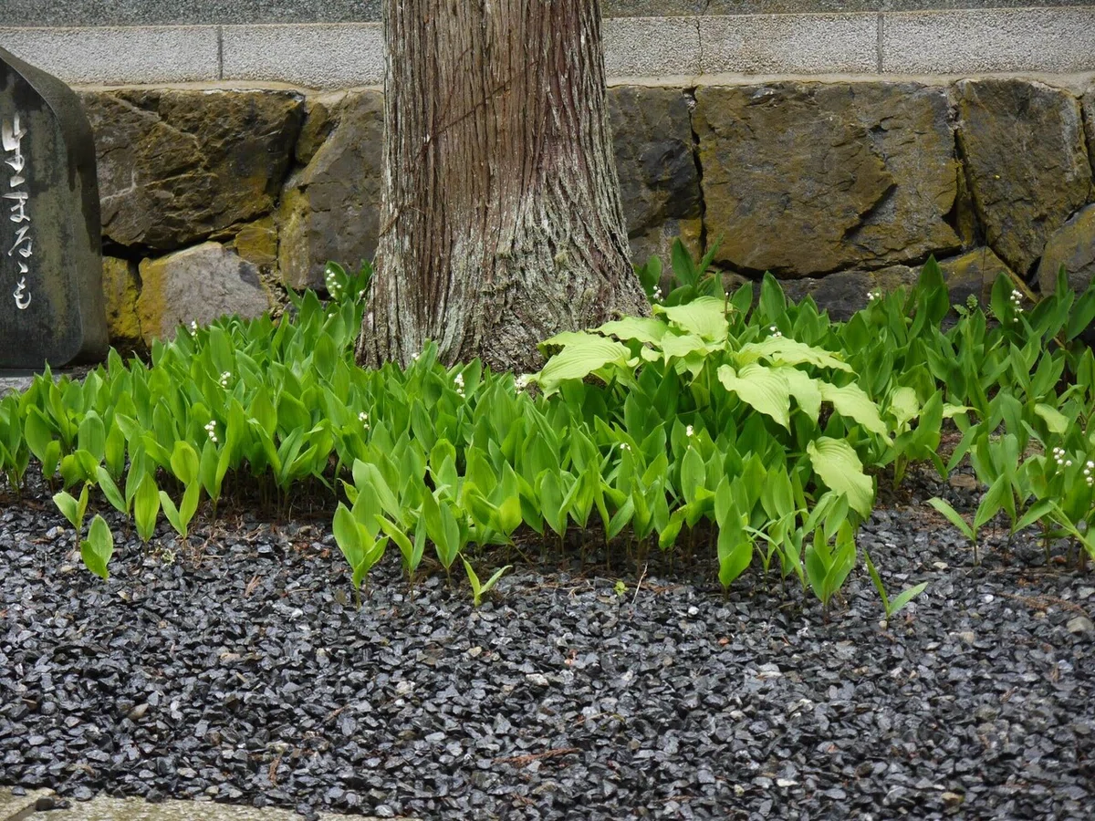画像34