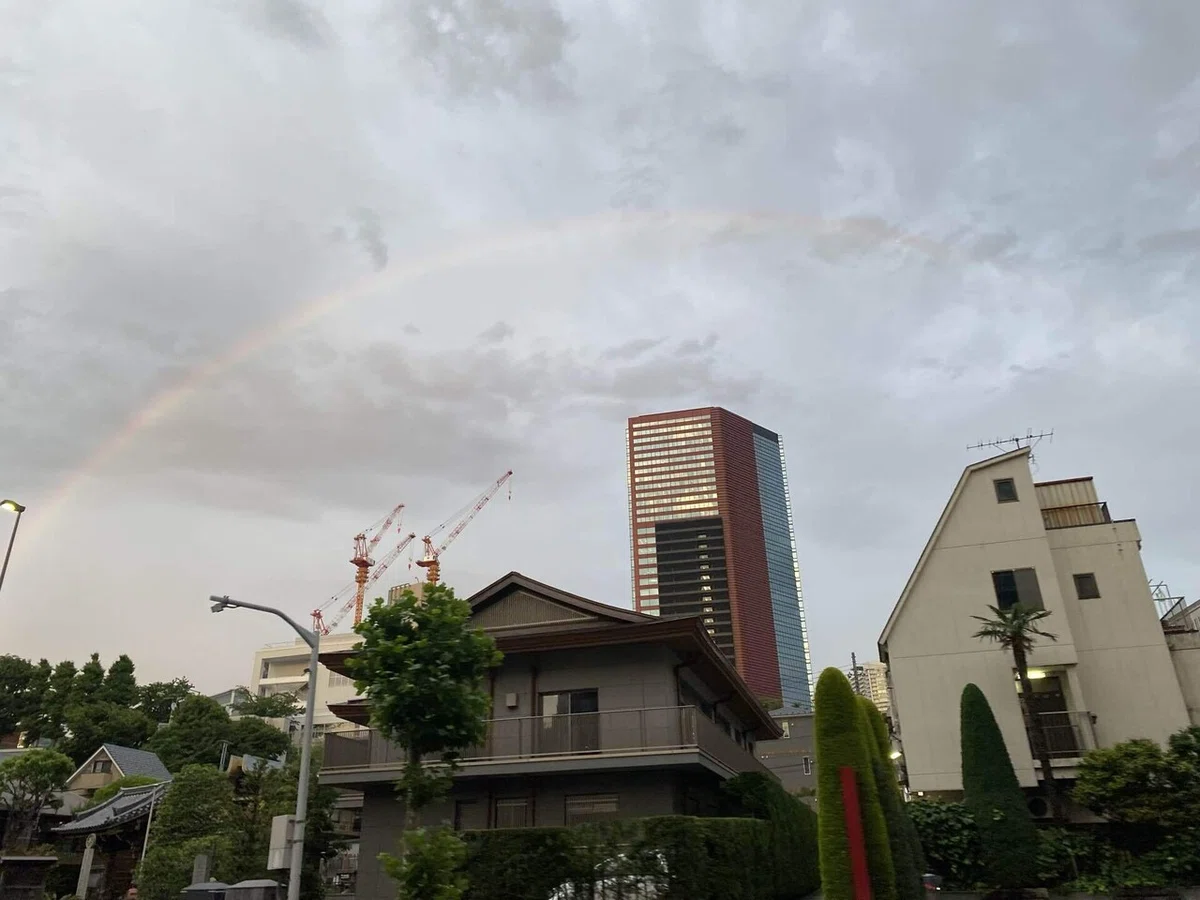 画像6
