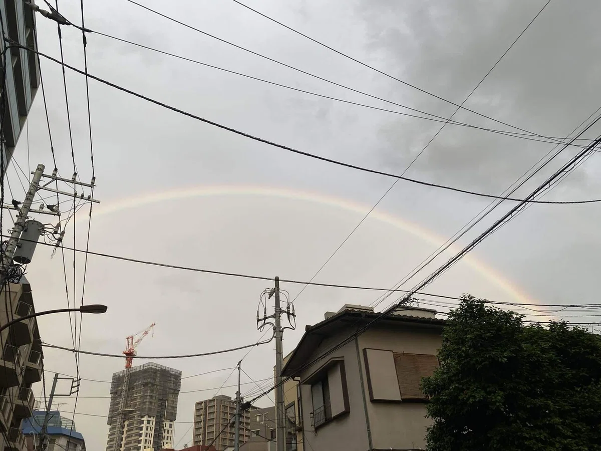画像7
