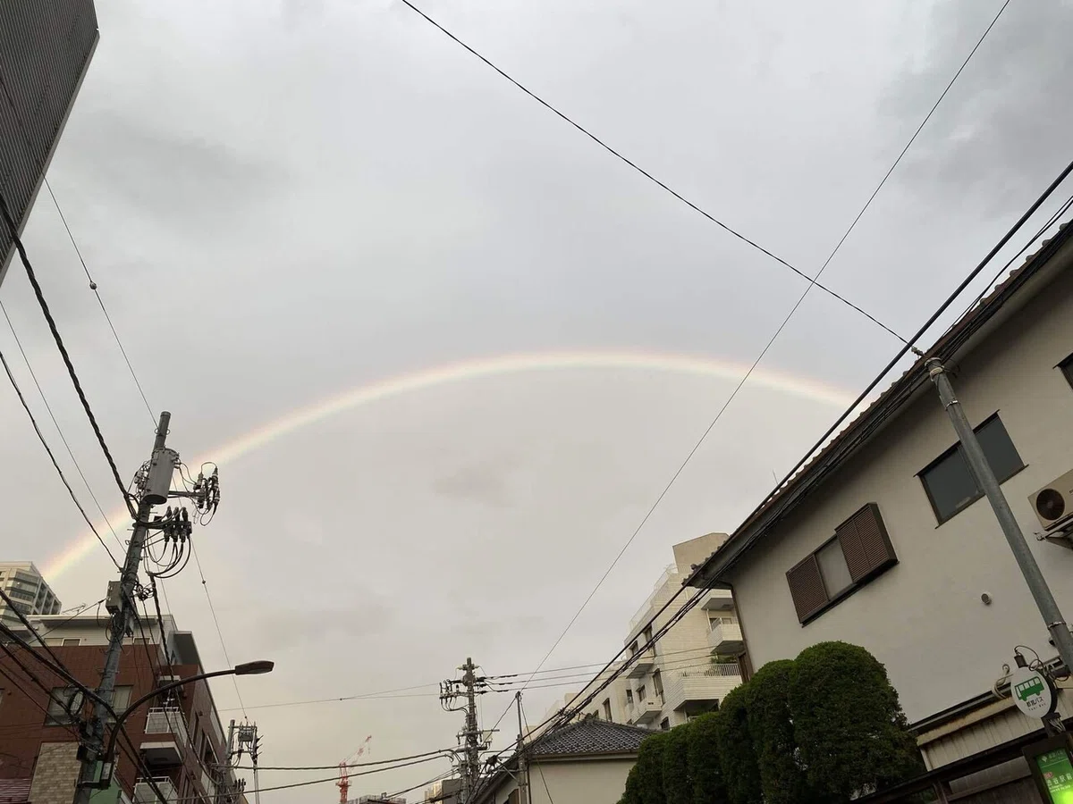 画像8