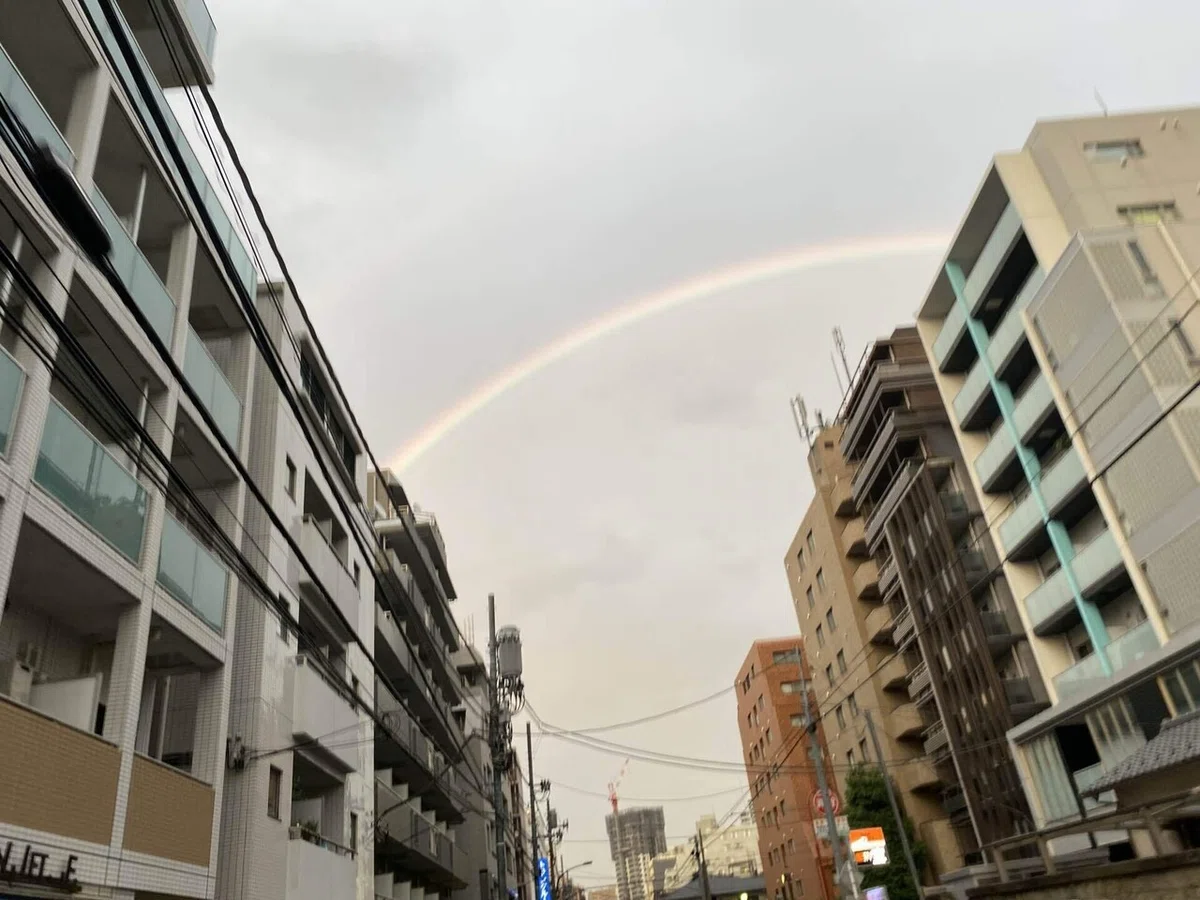 画像9