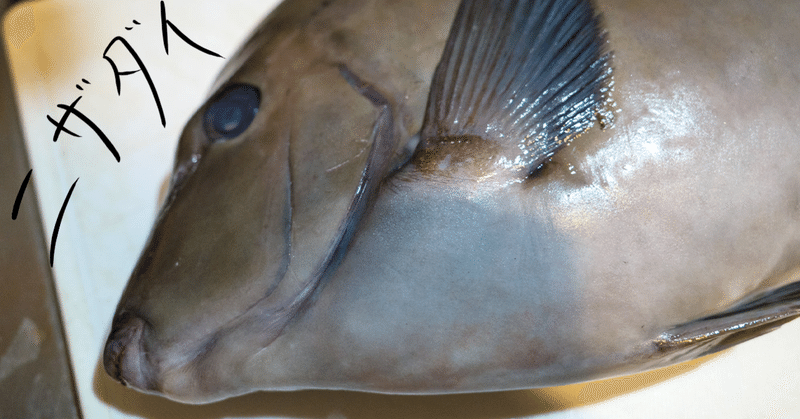 磯臭い魚「ニザダイ」を美味しく食べるにはどうすれば良いか