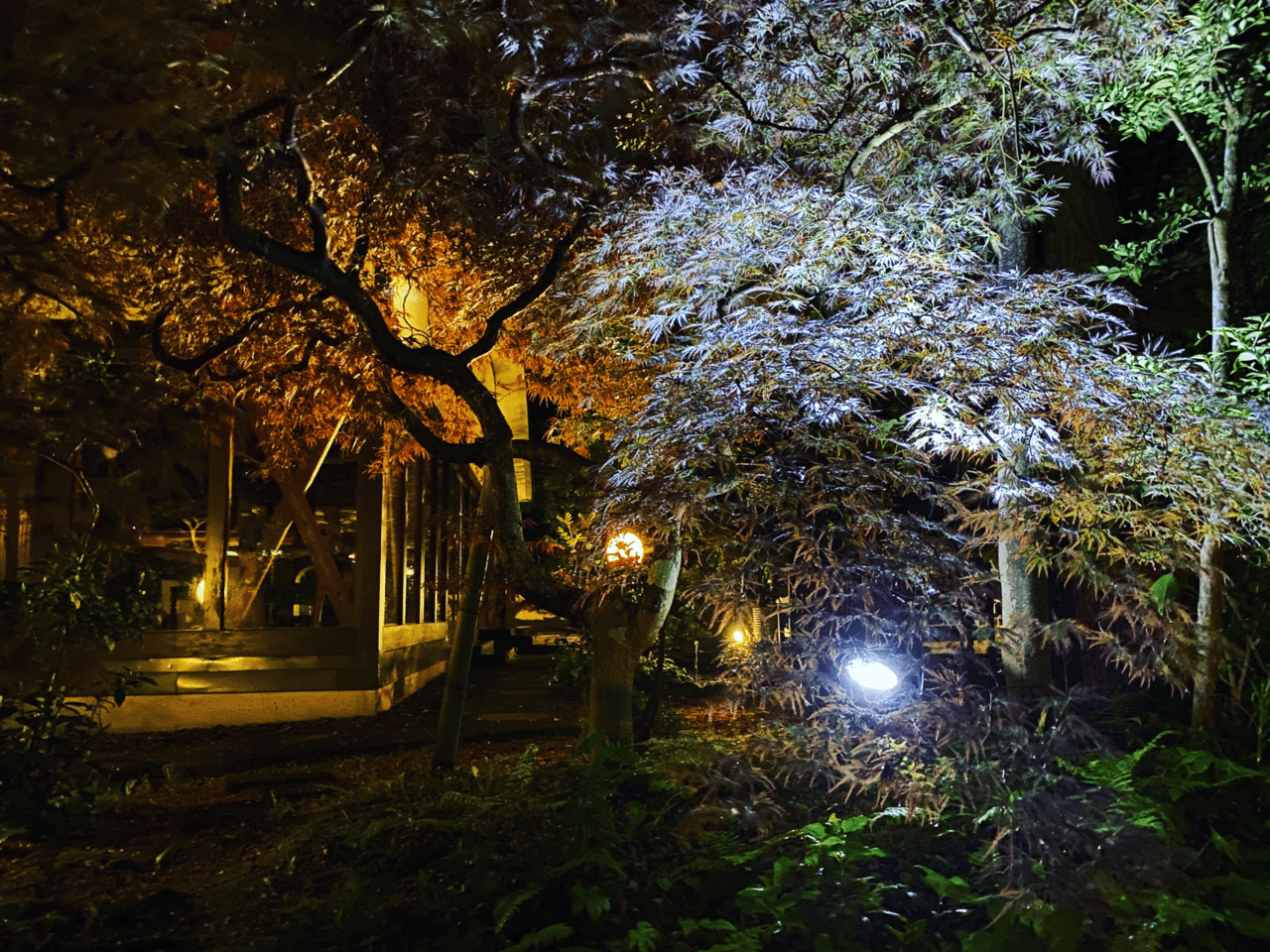 おはようございます ５月１８日です 夜明け前が闇は一番深い そして今の闇は深く暗い漆黒の闇だ だとしたら だからこそ それこそ夜明け は多分まもなくだ 今は未来の夜明け前なんだ 窓を開けて自分の部屋の 角田陽一郎 バラエティプロデューサー Note