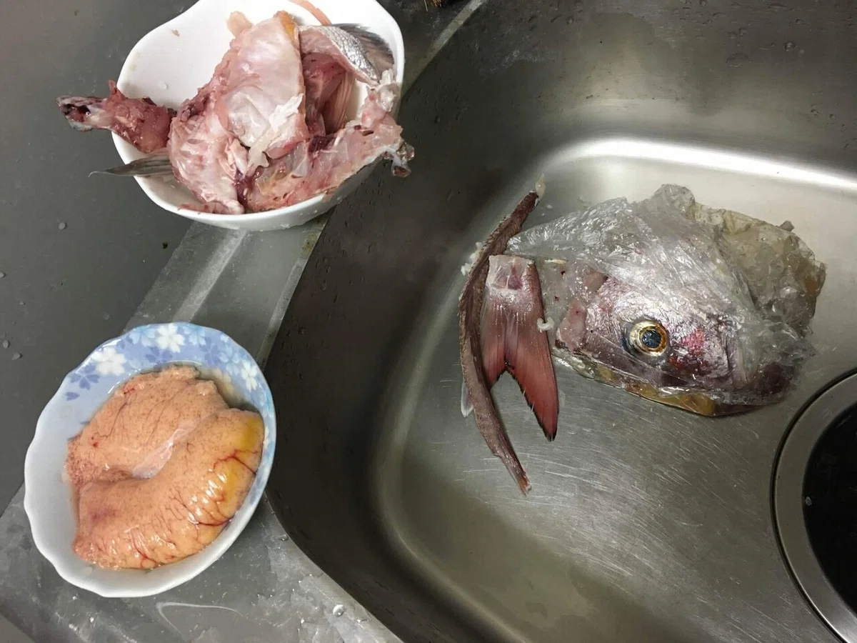 画像16