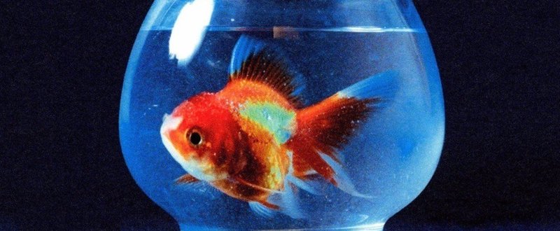 物質主義と一線を画すVince Staplesのパーティーソングを解読する。(Vince Staples - "Party People")