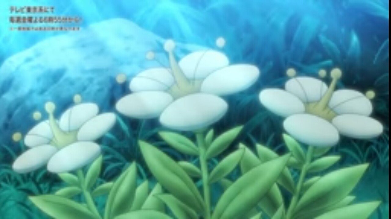 フラベベの白い花 が神回だった件 リユルン Note
