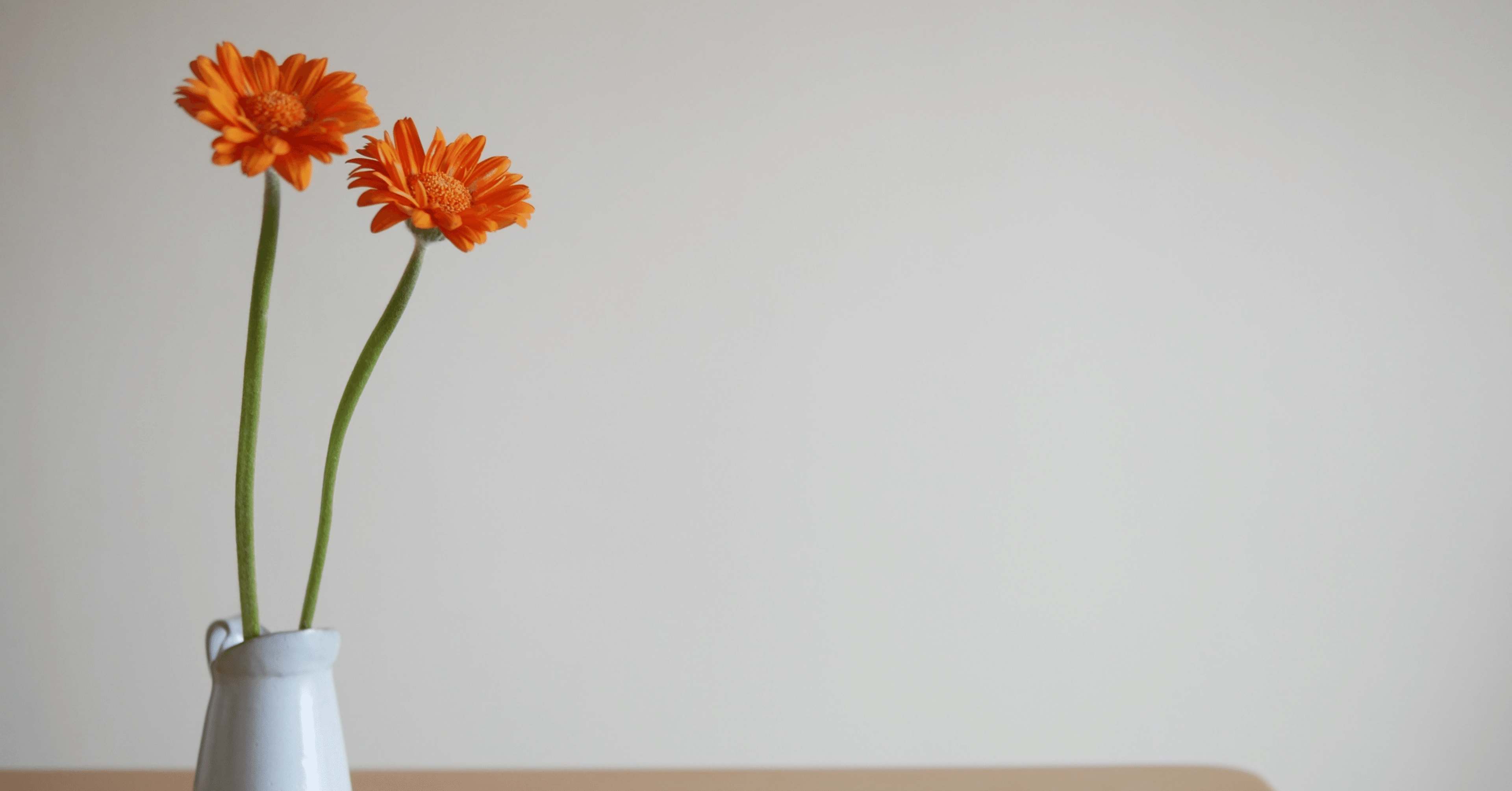 お花のある生活 花の癒し効果5つご紹介 Rina Note