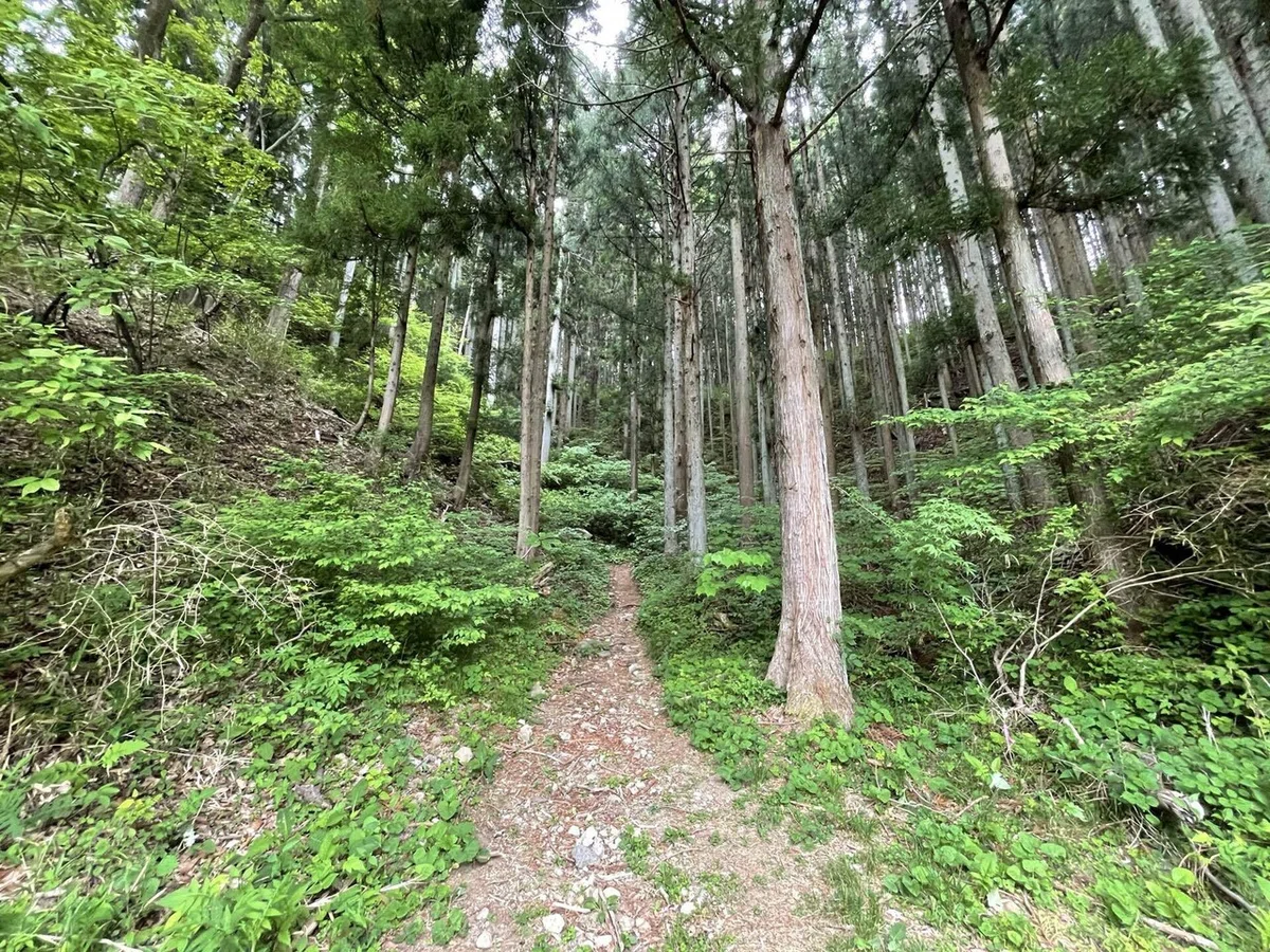 画像27