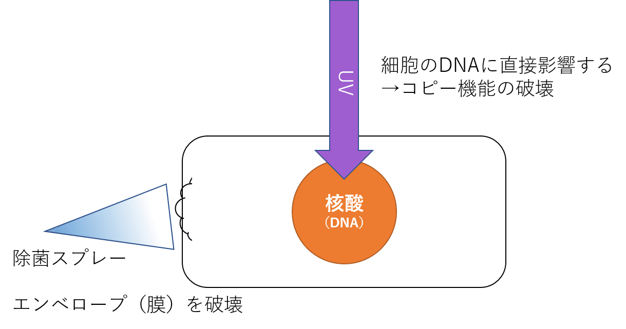 紫外線殺菌の仕組みの図