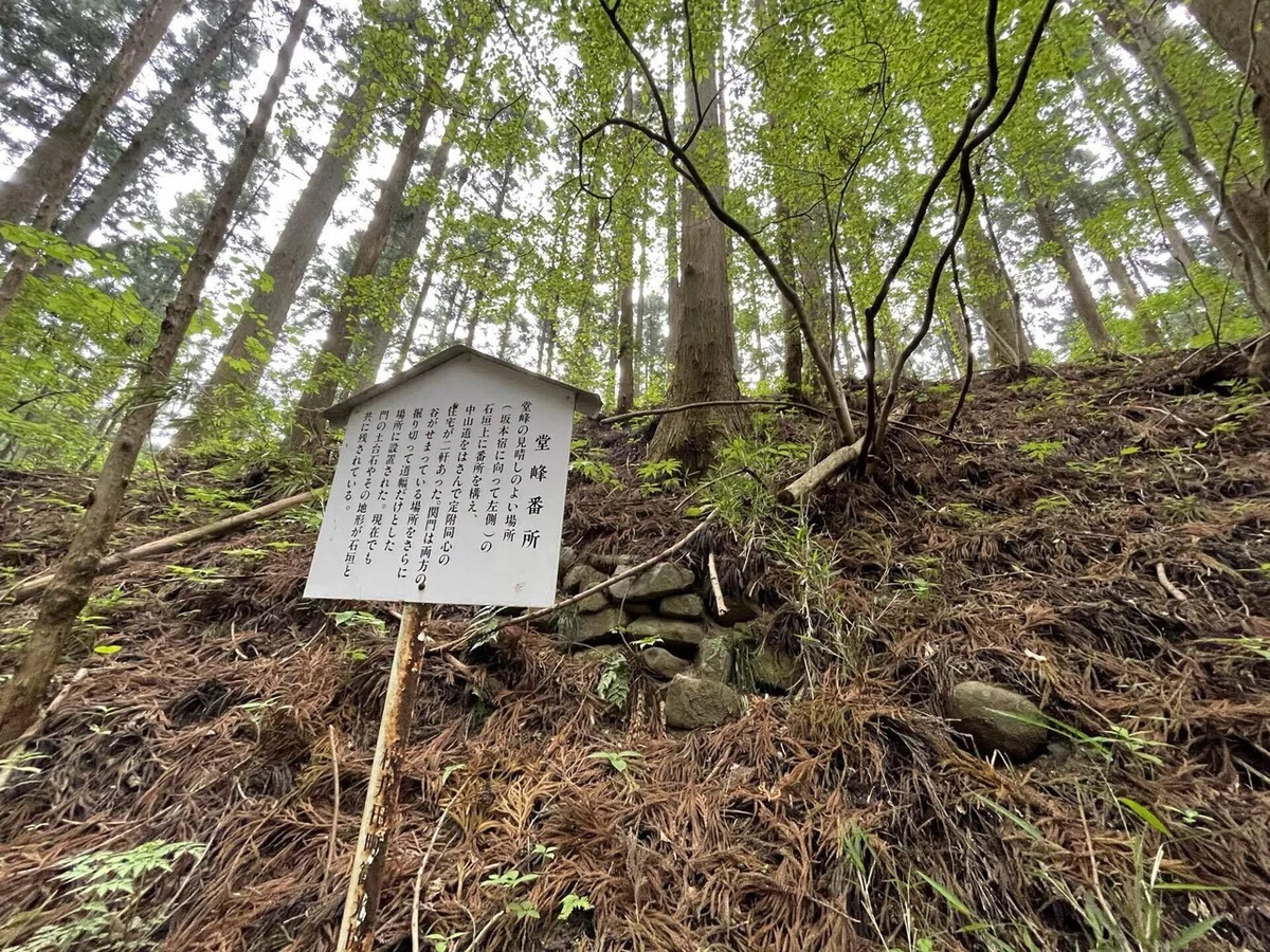 画像29