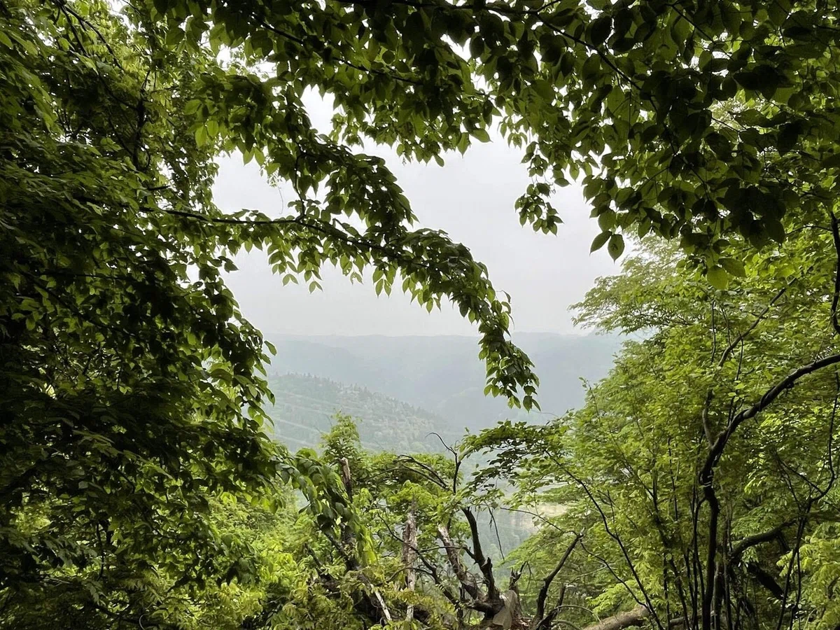 画像31