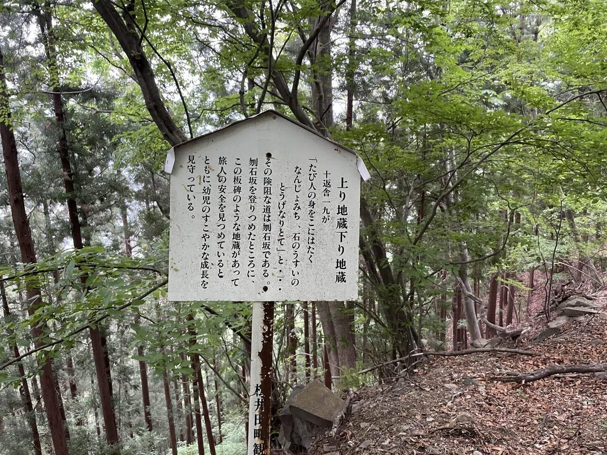 画像33