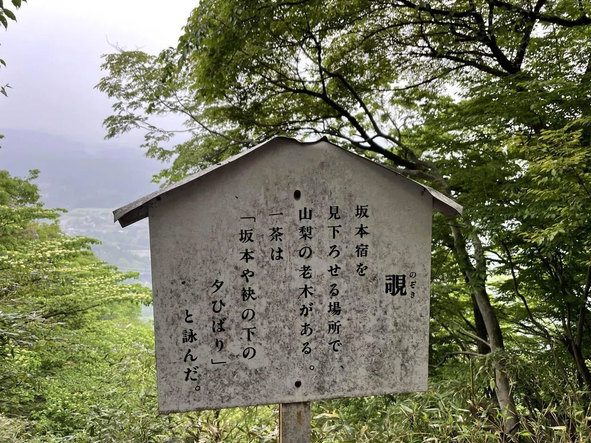 画像35