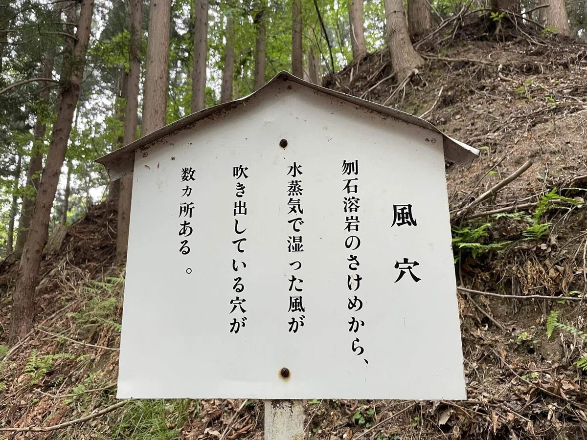 画像37