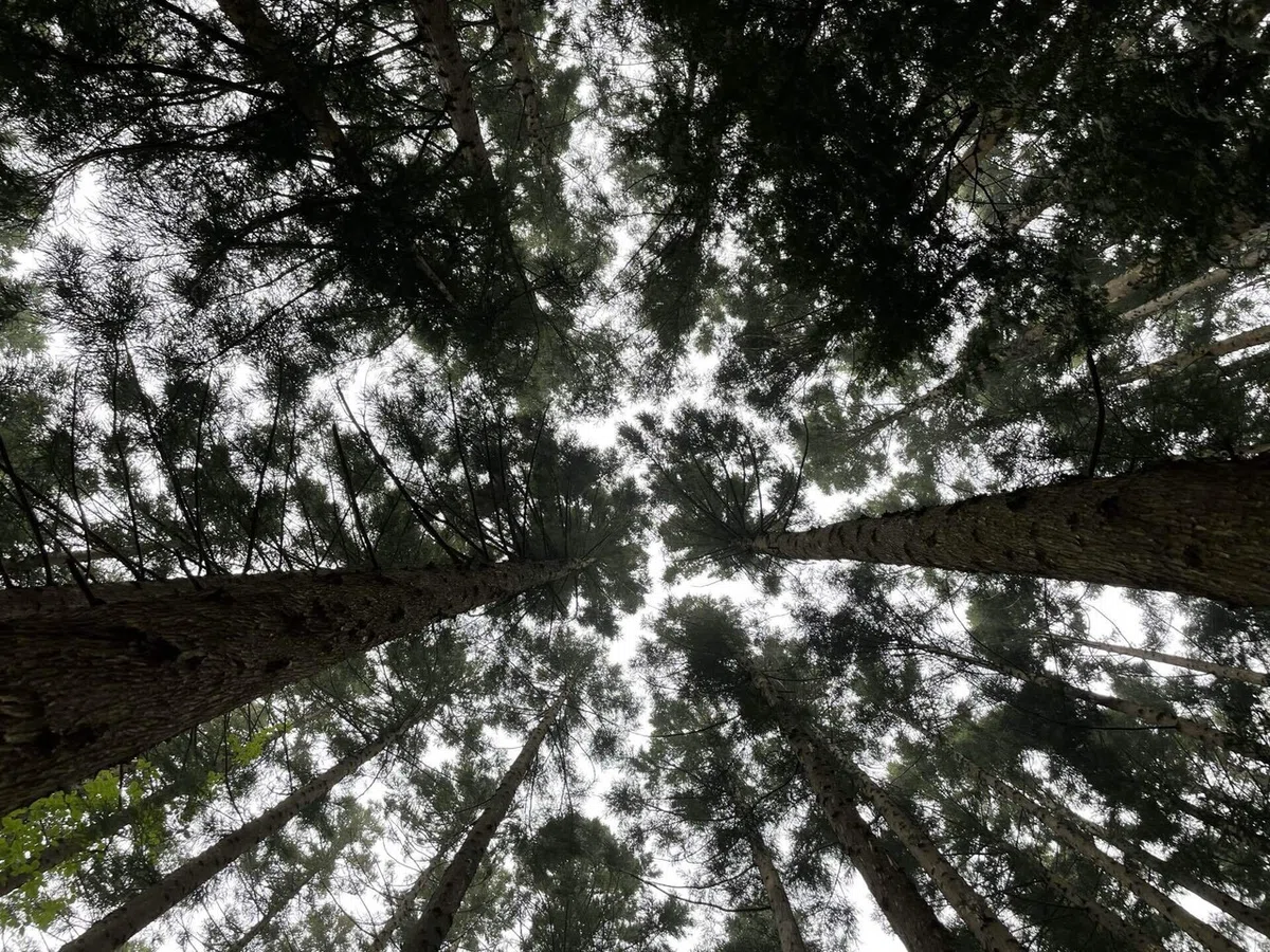 画像39