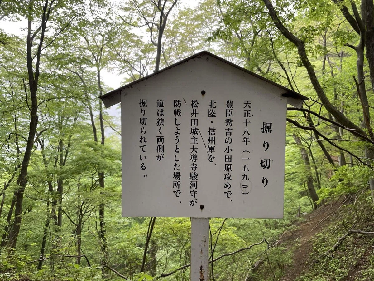 画像44