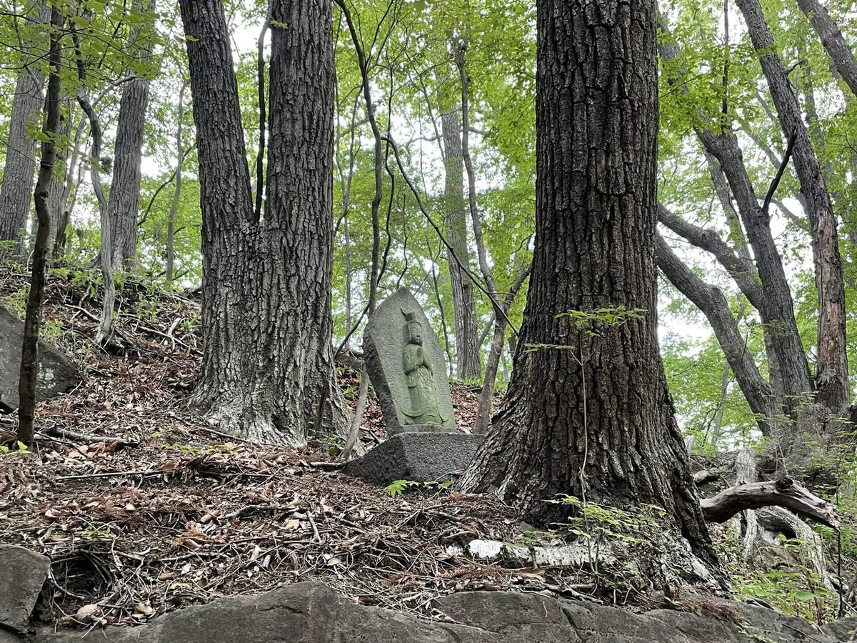 画像46