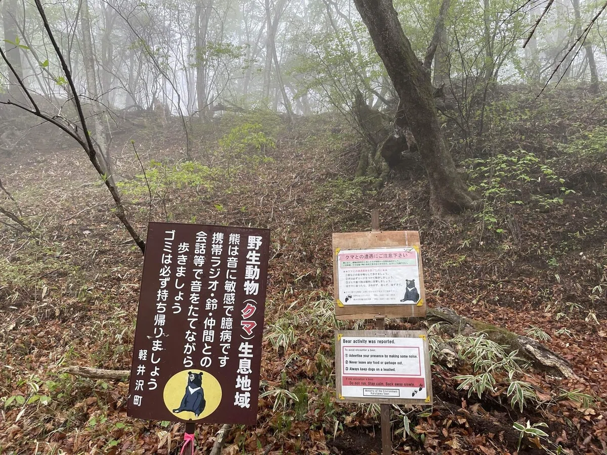 画像65